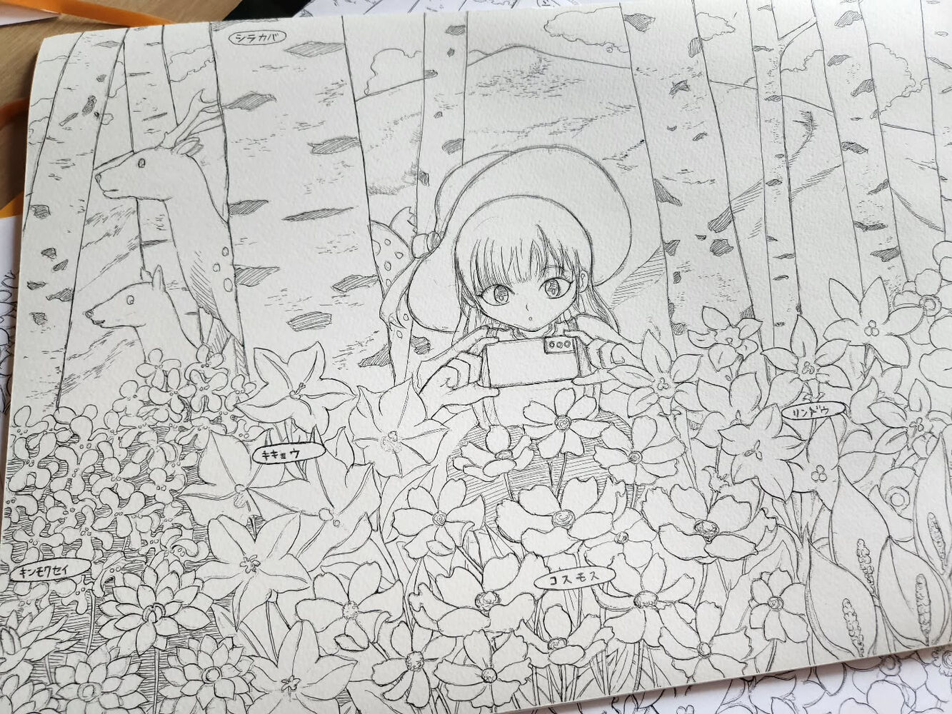 ブログ画像
